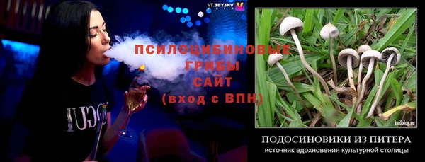 дурь Богородск