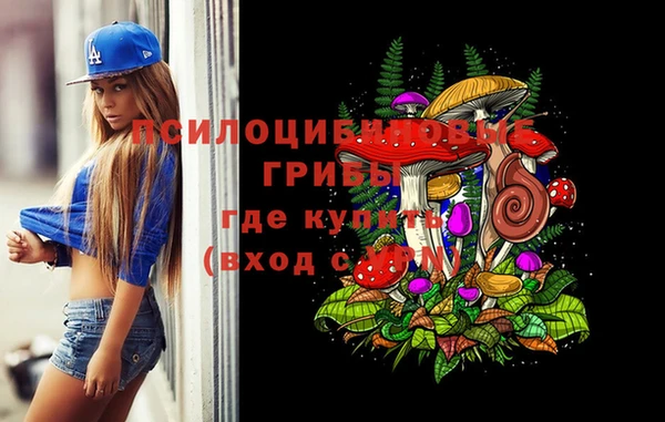 дурь Богородск