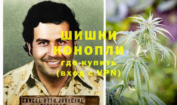 сатива Бородино