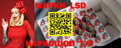 шишки Новодвинск