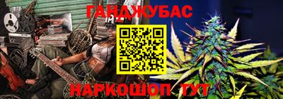 шишки Новодвинск
