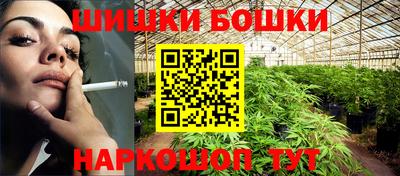 шишки Новодвинск