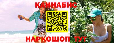 шишки Новодвинск