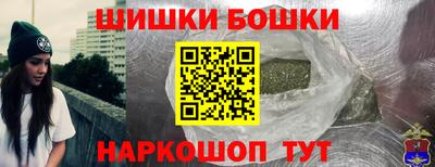 амф Новозыбков
