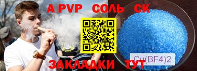 шишки Новодвинск