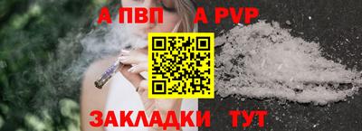 шишки Новодвинск