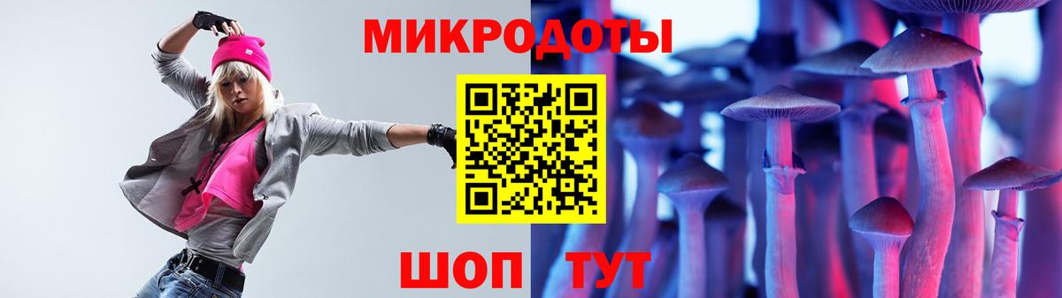 Дальнегорск  Псилоцибиновые грибы прущие грибы  Вход с VPN  Псилоцибиновые грибы Psilocybine cubensis 